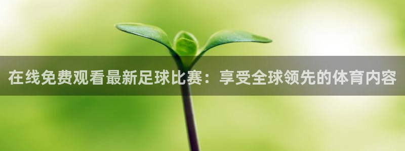 在线免费观看最新足球比赛：享受全球领先的