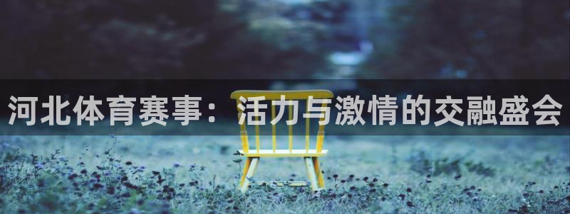 河北体育赛事：活力与激情的交融盛会
