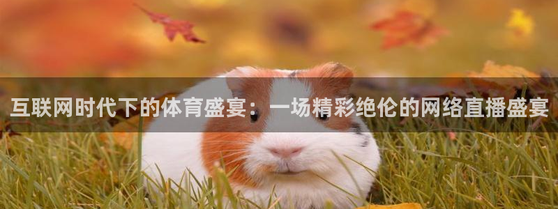 互联网时代下的体育盛宴：一场精彩绝伦的网络直播盛宴