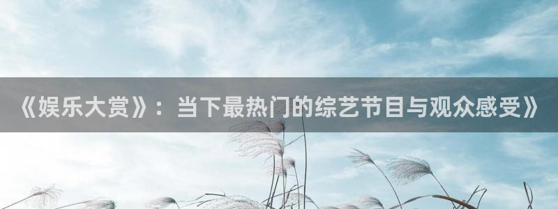 《娱乐大赏》：当下最热门的综艺节目与观众
