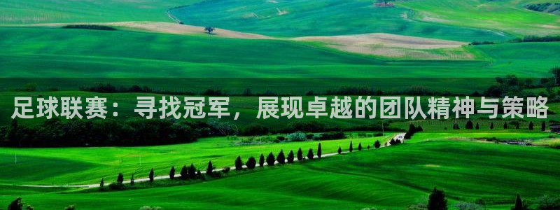 足球联赛：寻找冠军，展现卓越的团队精神与策略
